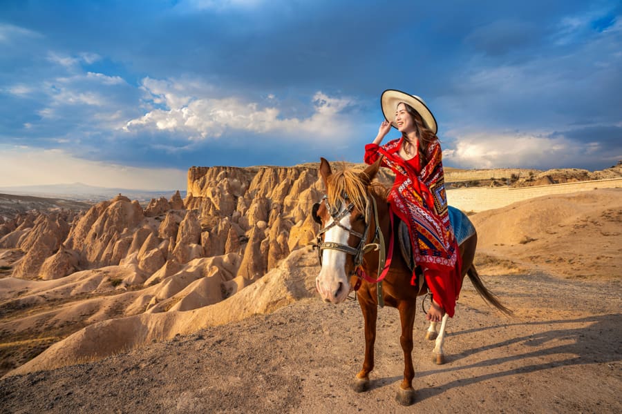 The Core Principles of Desert Dressing