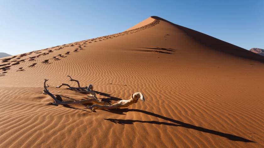 What Is the Best Time to Visit Al Badayer Retreat?