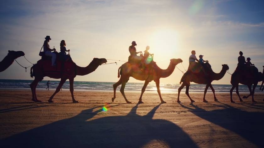 What Should You Know Before Your First Camel Ride Experience in Dubai?
