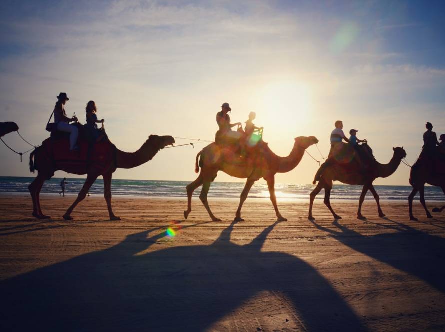 What Should You Know Before Your First Camel Ride Experience in Dubai?