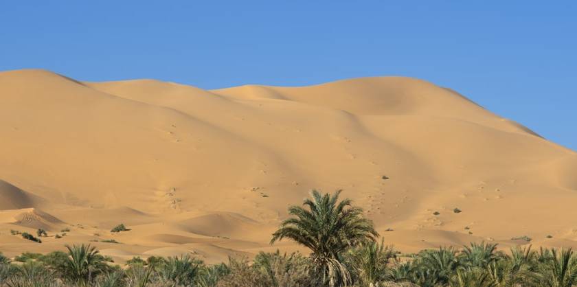 Things to Do in Al Badayer Besides Dune Buggy