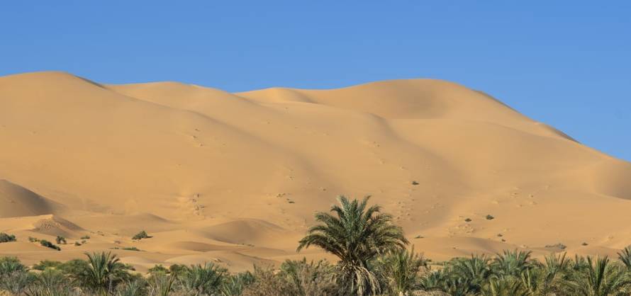 Things to Do in Al Badayer Besides Dune Buggy